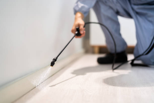 Licensed Termite Control service in Columbia, IL - Nex Pest Control