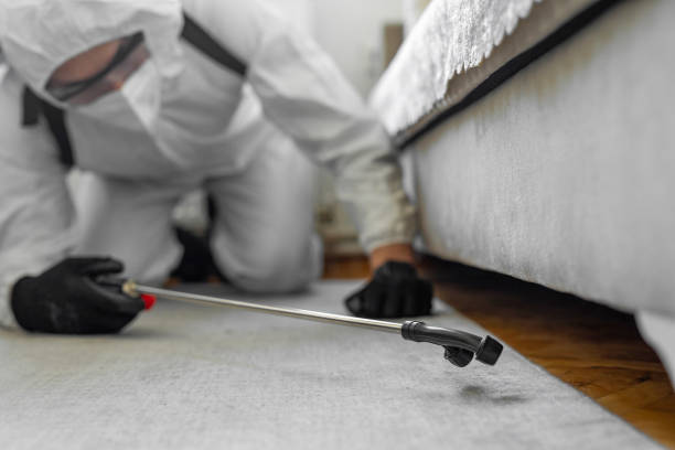 Professional Termite Control technician working in Columbia, IL