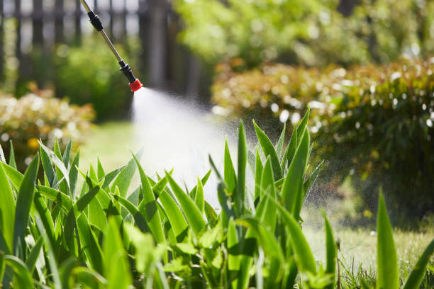 24/7 Emergency Termite Control experts in Columbia, IL