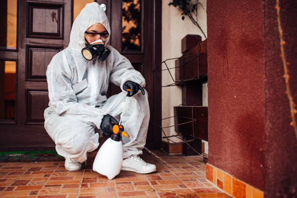 Reliable Termite Control contractor in Columbia, IL by Nex Pest Control