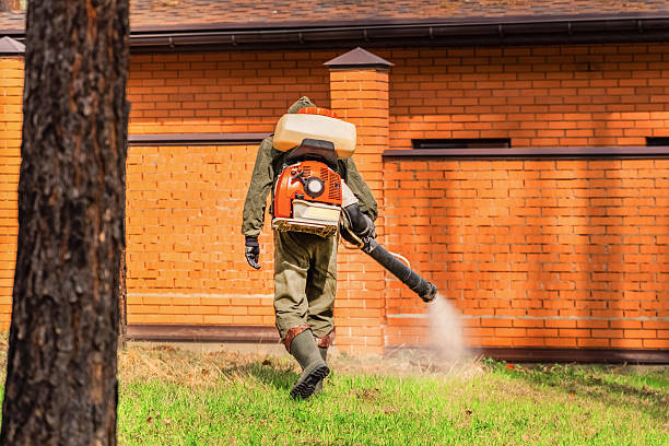 Top rated local Termite Control specialists in Columbia, IL